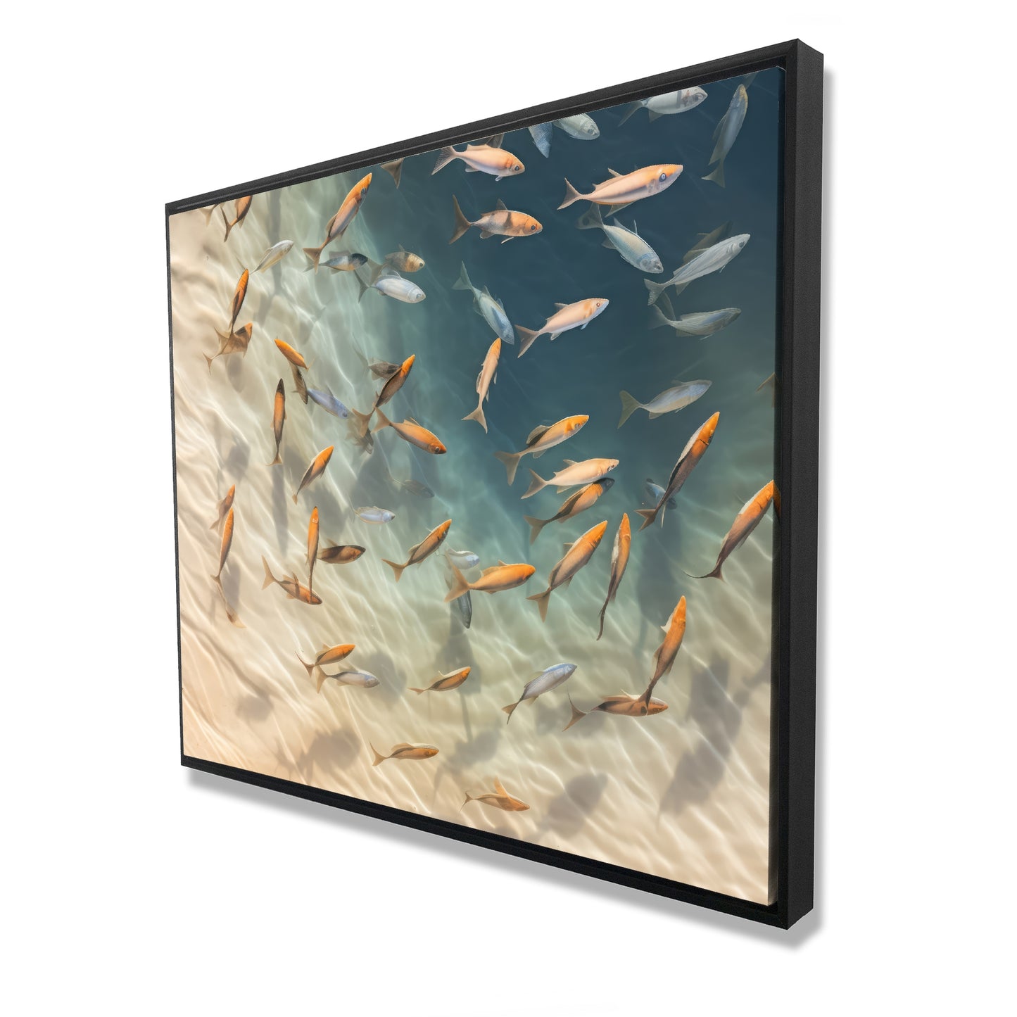 48.00"x60.00"