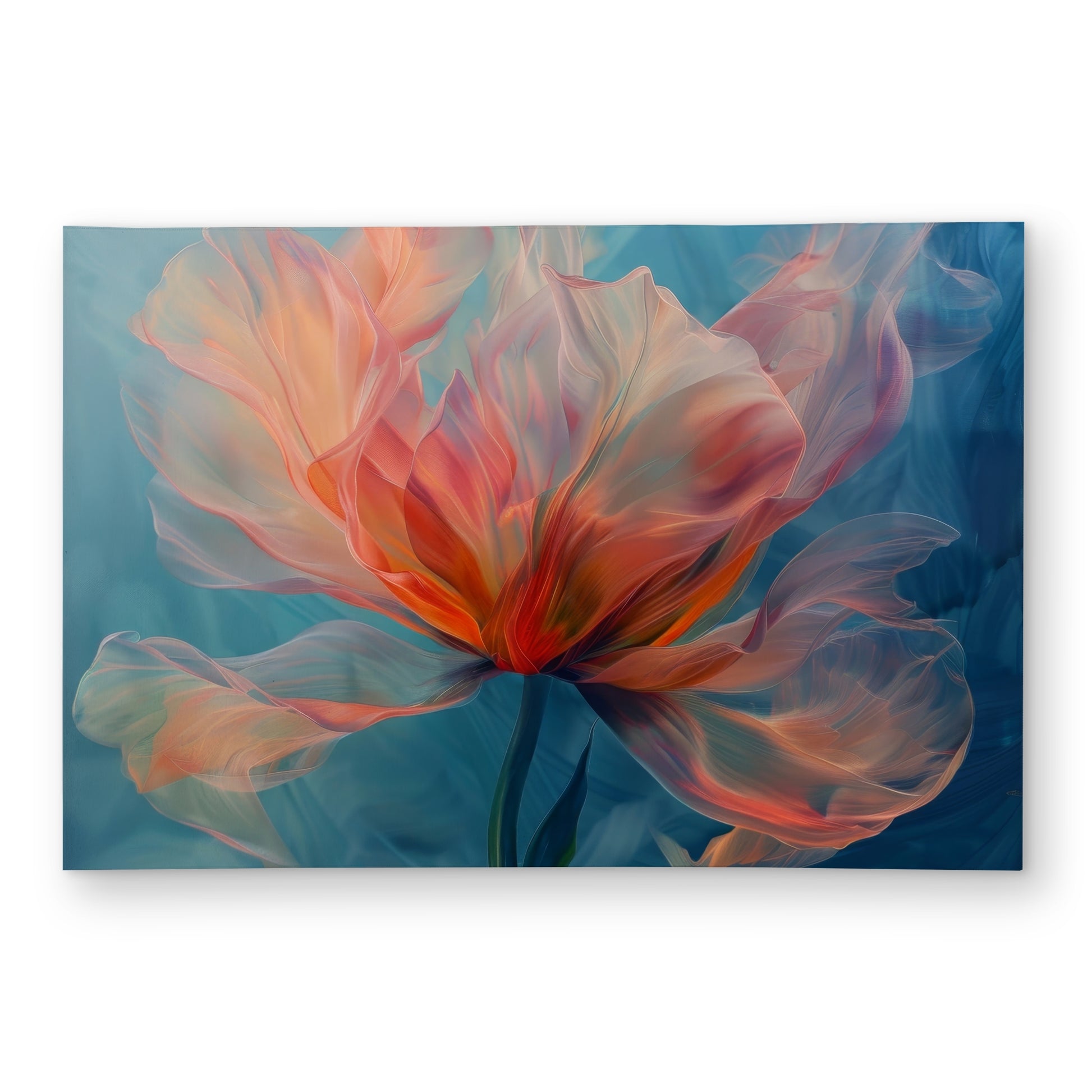 2"x3"
