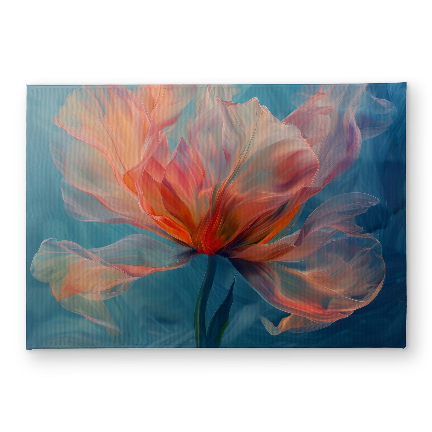 17"x24"