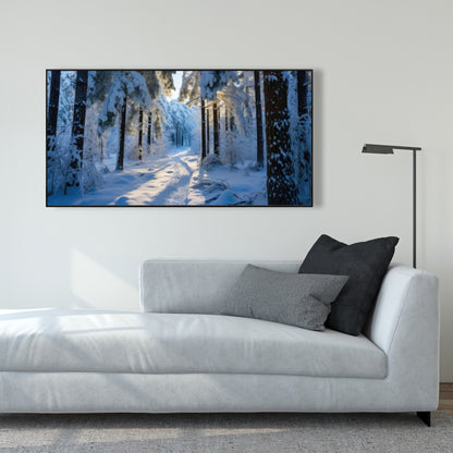 Snowy path - 36"x36" Framed canvas
