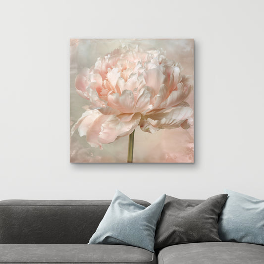 Peony - 32"x32" Canvas