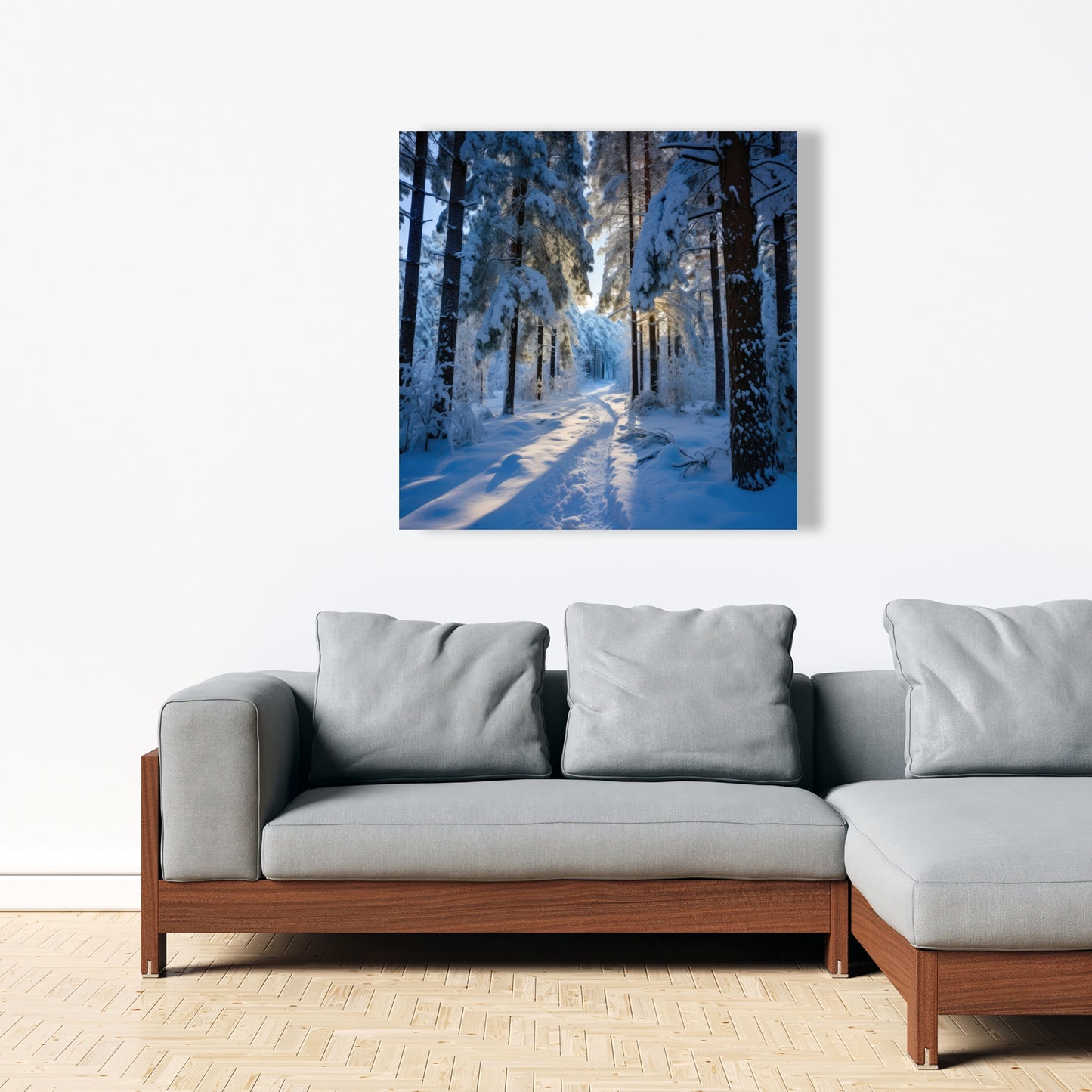 Snowy path - 32"x32" Canvas
