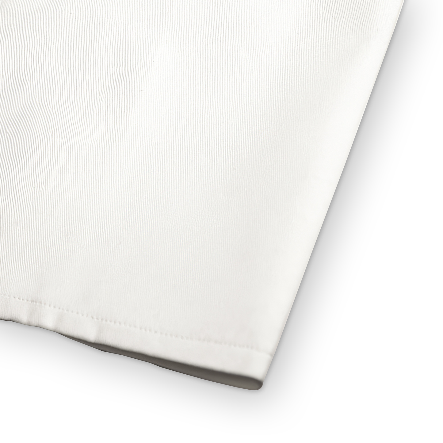 Afterglow White Polyester Placemat | Stylish Set
