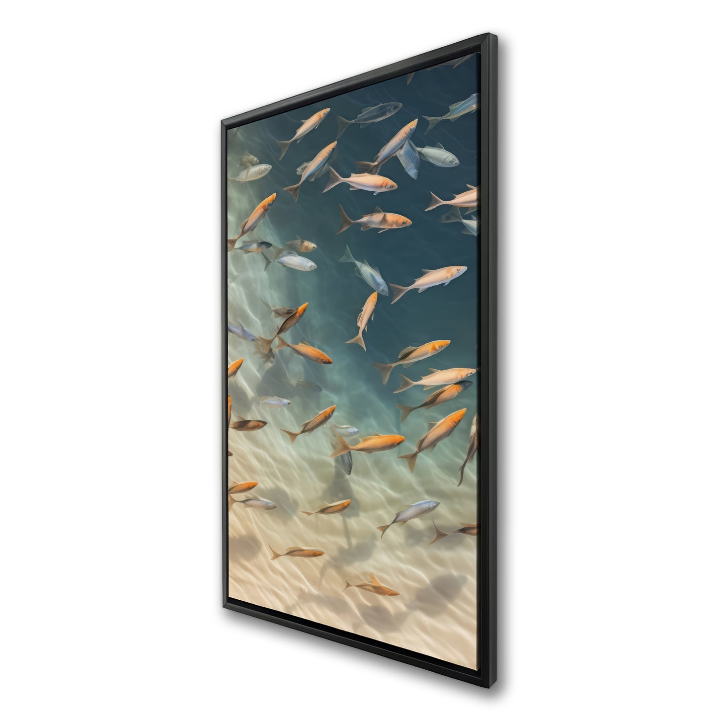 24.00"x48.00"