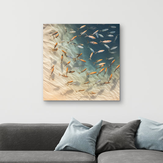 Away from the sand - 32"x32" Canvas