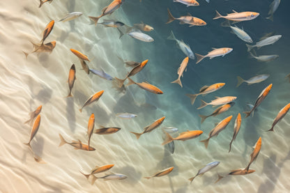 Away from the sand - Turquoise Outdoor Area Rug