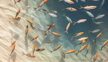 Away from the sand - Turquoise Indoor/Outdoor Tablecloth