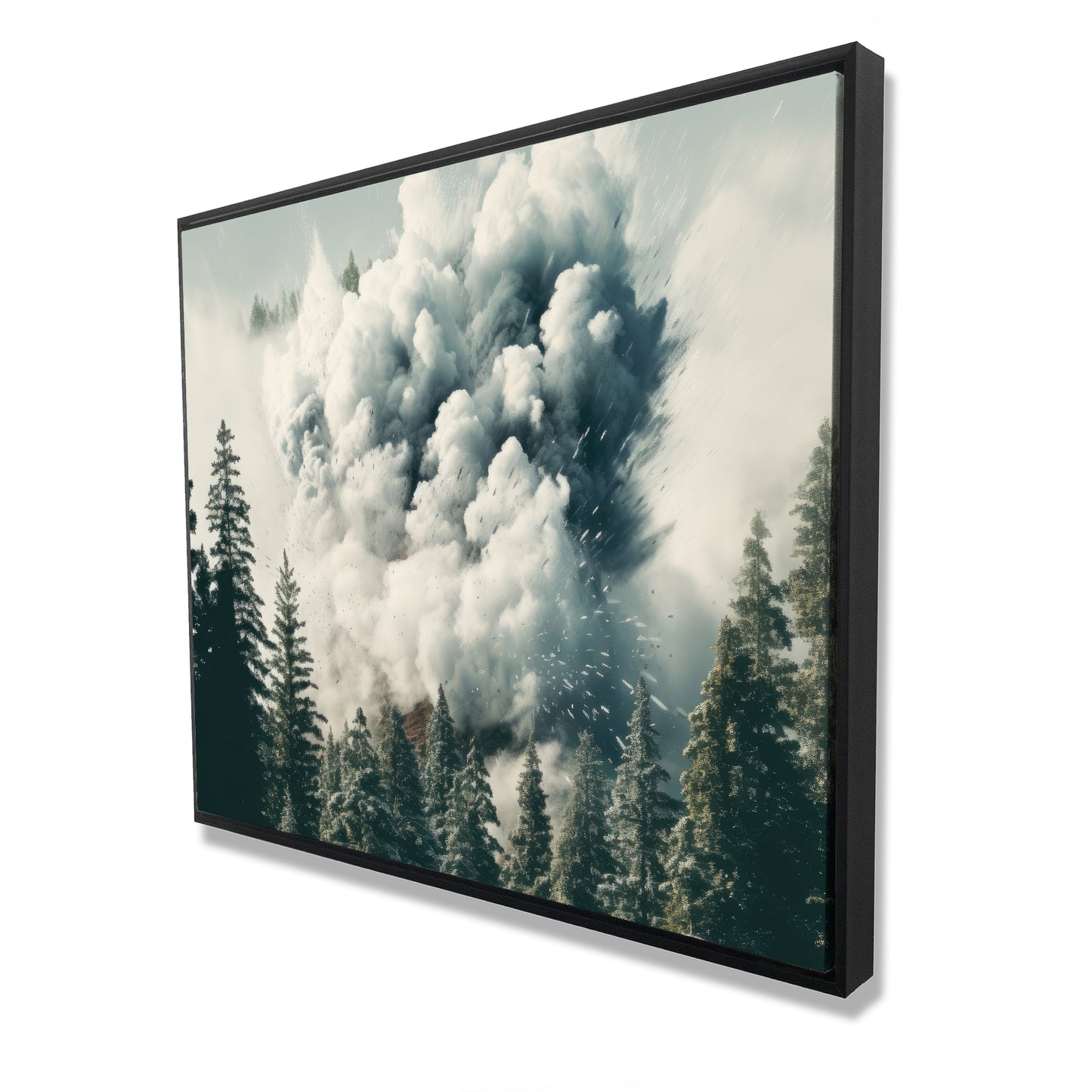 48.00"x60.00"