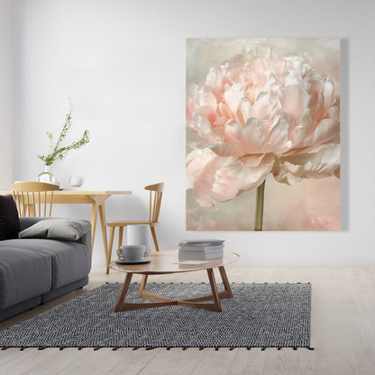 Peony - 32"x32" Canvas