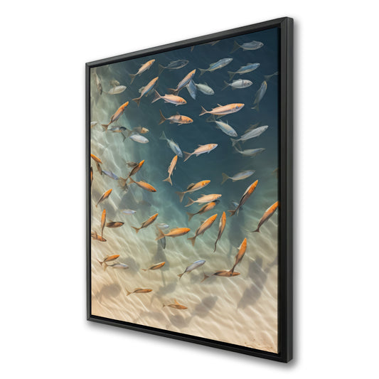 36.00"x48.00"