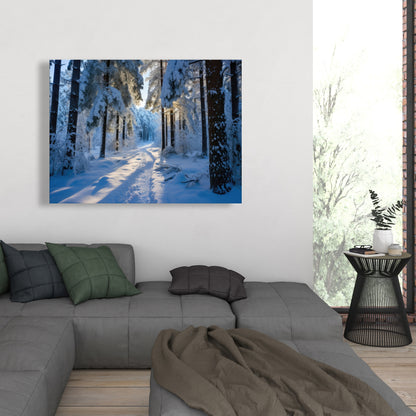 Snowy path - 32"x32" Canvas