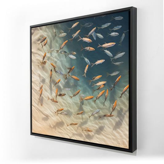36.00"x36.00"
