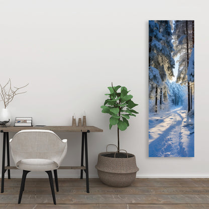 Snowy path - 32"x32" Canvas