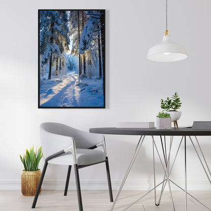 Snowy path - 36"x36" Framed canvas